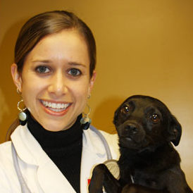 Dr. Shuman holding a black dog