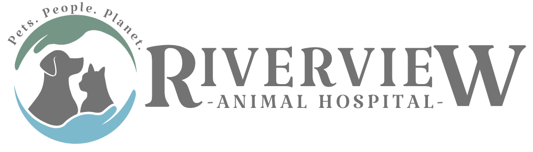We Treat Your Pets Like Our Own | Riverview Animal Hospital